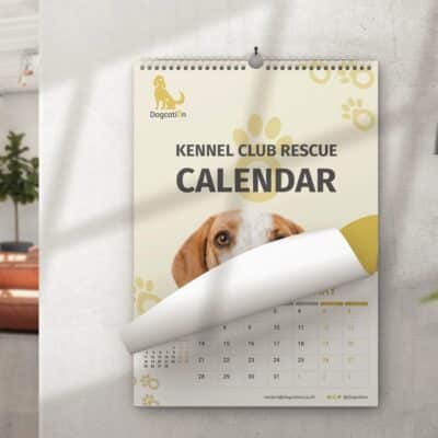 Wall Calendars (Wire)